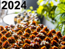 Taste_Of_Highlands 2022 Fall